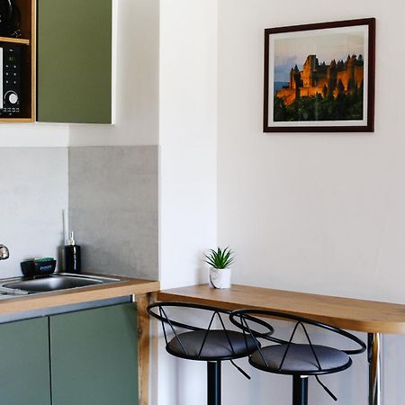 Studio Avec Parking Vue Sur La Cite De Carcassonne Eksteriør billede